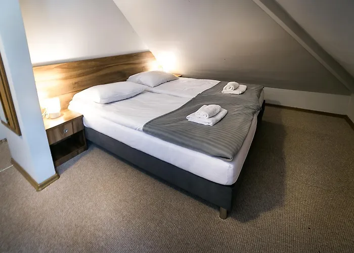 Gosciniec Lizawka 3*