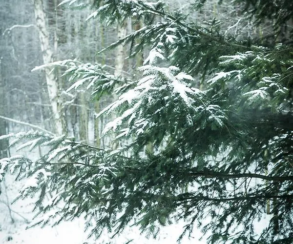 Penzion Gosciniec Lizawka 3*