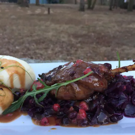 Gosciniec Lizawka 3* Poznań