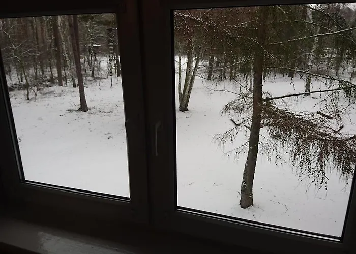 Gosciniec Lizawka 3*