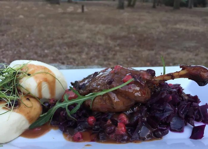 Gosciniec Lizawka 3* Poznan