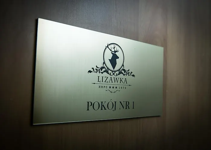 Gosciniec Lizawka Fogadó 3*